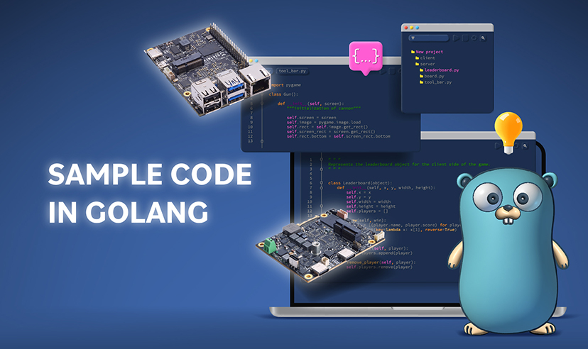 Golang Sample Code for KIWI boards